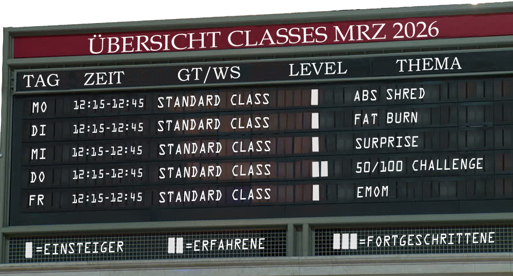 "Trainer coacht Teilnehmer bei Calisthenics-Übung im Street Workout Place Regensdorf – individuelles Coaching & Technik"